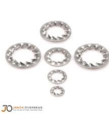 Internal Star Washers Manufacturer in India