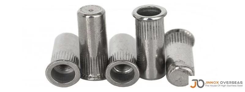 Rivet Nut Manufacturer in India Rivet Nut Manufacturer in India